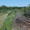 Gallery Thompson Land Clearing LLC