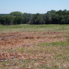 Gallery Thompson Land Clearing LLC