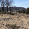 Gallery Thompson Land Clearing LLC