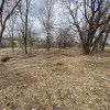 Gallery Thompson Land Clearing LLC